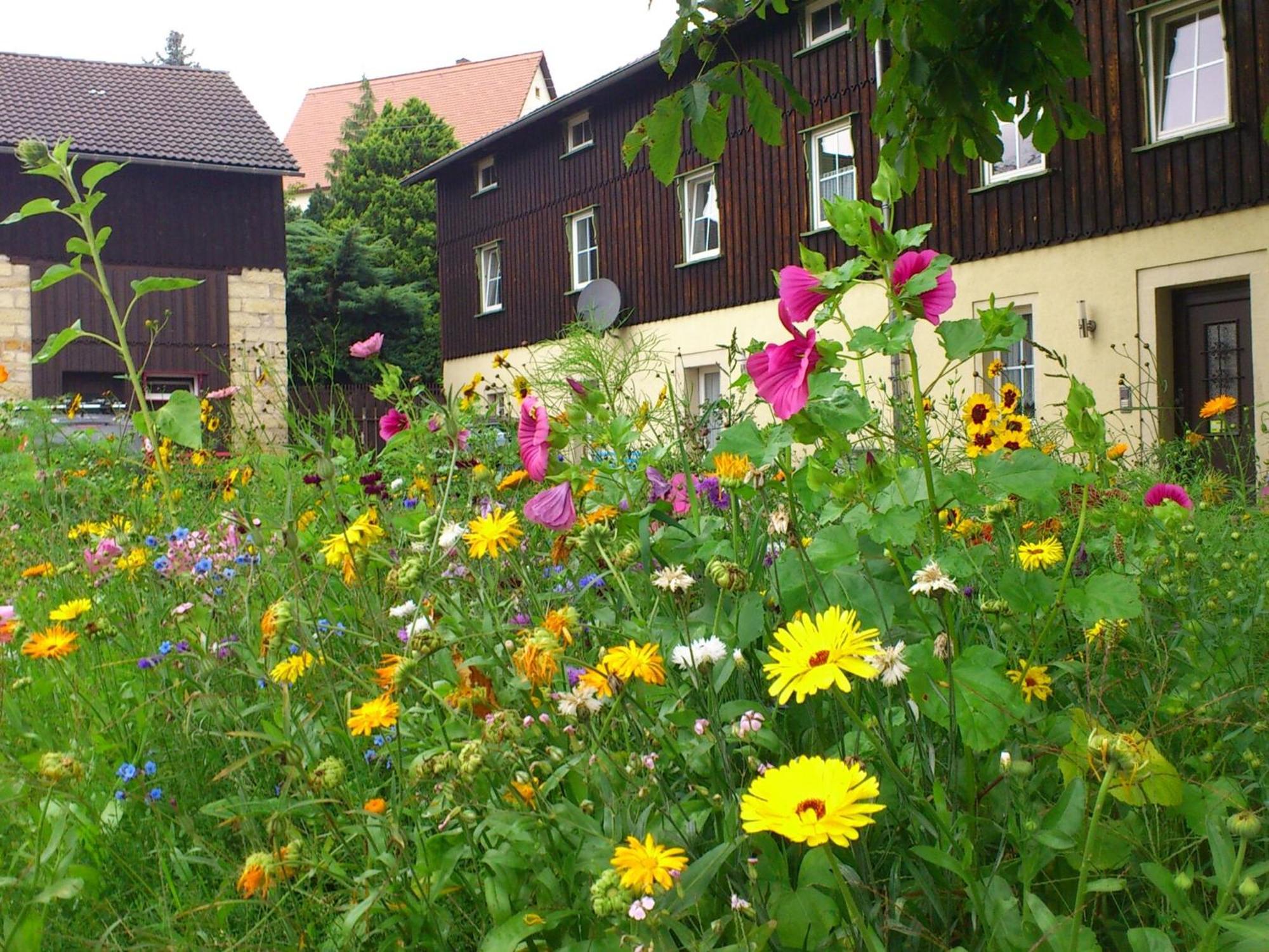 Cosy In Wei Ig With Garden Apartment